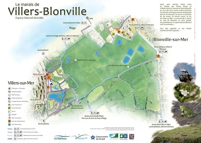 Vue - A Pieds Daire Blonville-sur-Mer